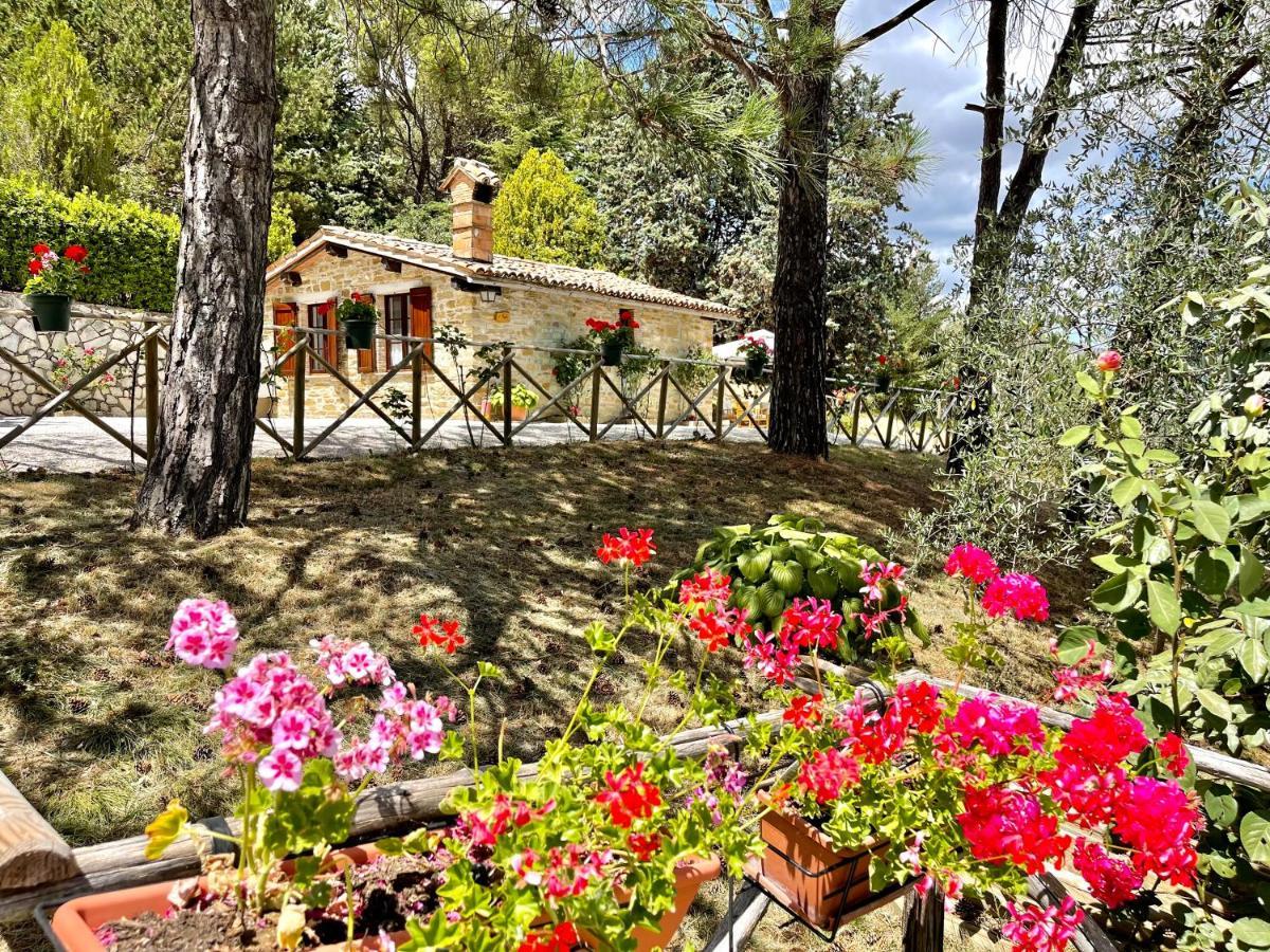 La Panoramica Gubbio - Maison De Charme - Casette E Appartamenti Self Catering Per Vacanze Meravigliose! Luaran gambar